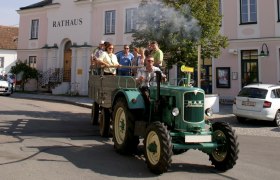 Rent a Rebstock Weinlese: Erlebnis mit Spaßfaktor, © Retzer Land / Köhrer