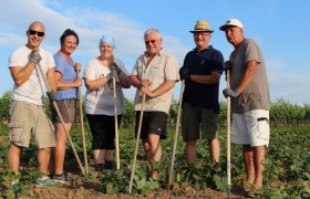 Vorbereitungen für das Kürbisfest, © Retzer Land / Raab