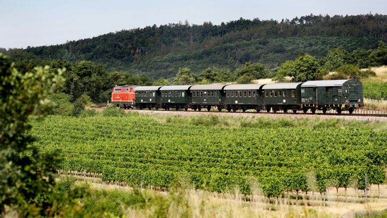 Reblaus Express, © Niederösterreich Bahnen / Weinfranz