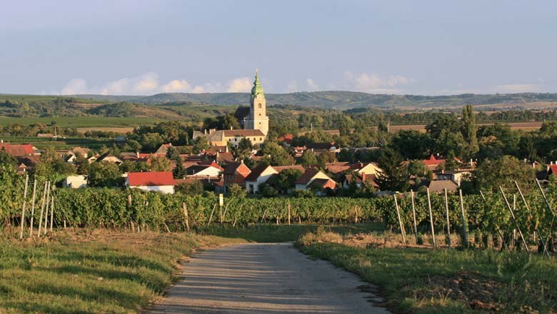 Pfarrkirche Unterretzbach, © Wolfgang Gerzer