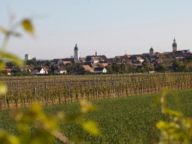 Pilgern im Retzer Land, © Weinviertel Tourismus / Wurnig